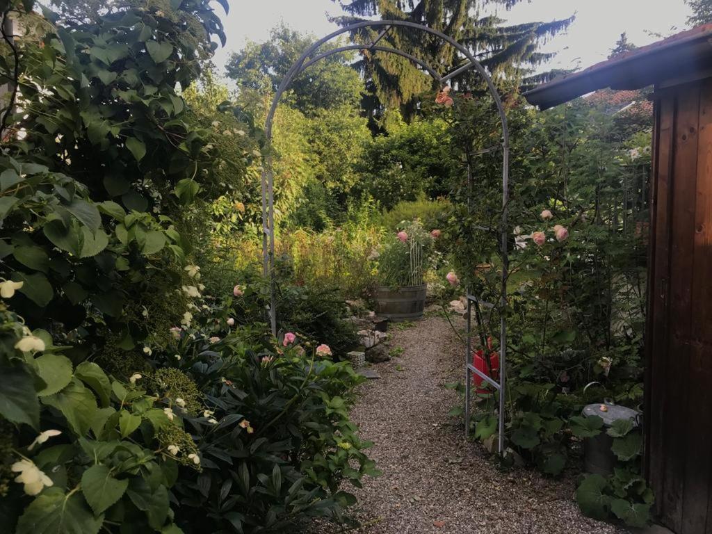 Au Jardin Bed & Breakfast Zuchwil Ngoại thất bức ảnh